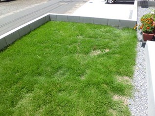 住宅の芝生の例